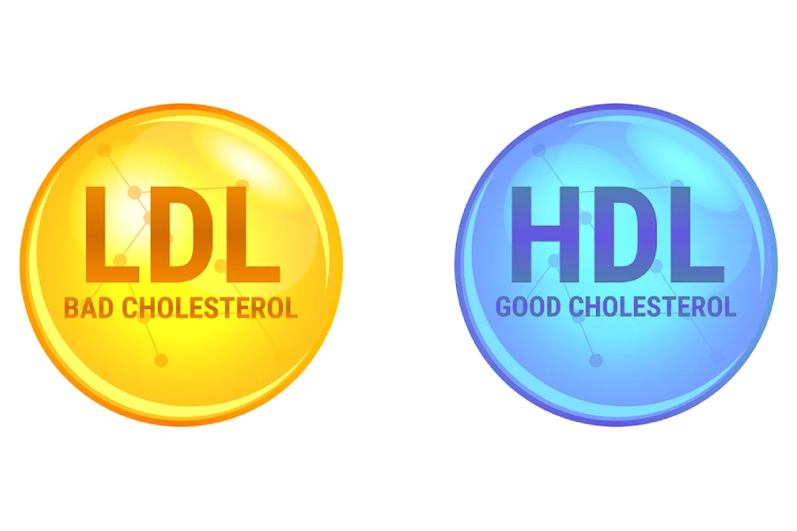 LDL در آزمایش خون چیست؟ علت بالا بودن ldl در آزمایش خون 8 LDL در آزمایش خون چیست؟ علت بالا بودن ldl در آزمایش خون