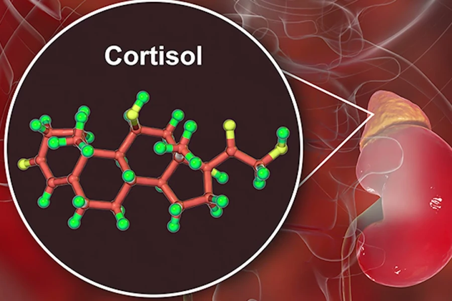 کورتیزول بالا نشانه چیست