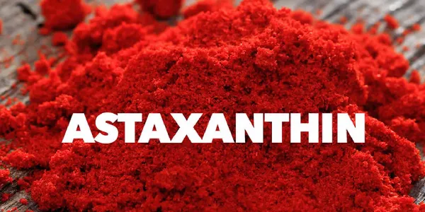 آستاگزانتین ناوفودز (NowFoods Astaxanthin)