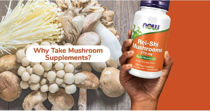 قرص گانودرما ناوفودز (Now Foods Rei-Shi Mushroom)